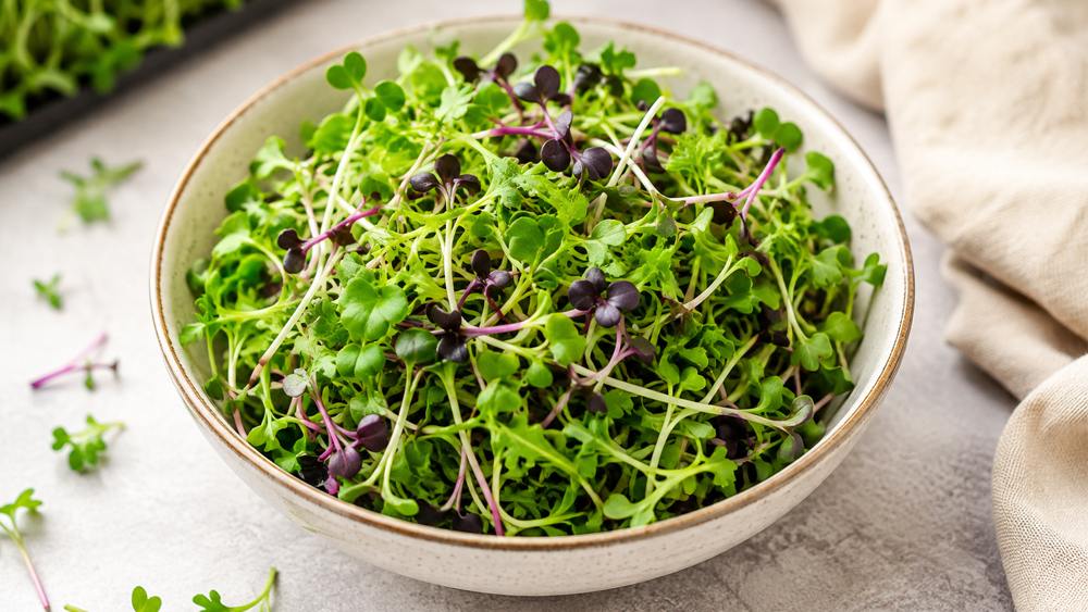 Fresh microgreens bowl